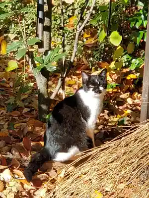 愛宕神社(福島県)