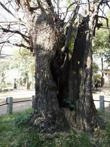 赤坂氷川神社(東京都)