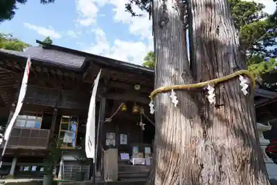 高司神社〜むすびの神の鎮まる社〜の本殿・本堂