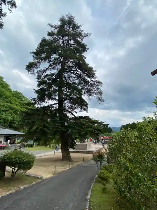 和氣神社(和気神社)の自然