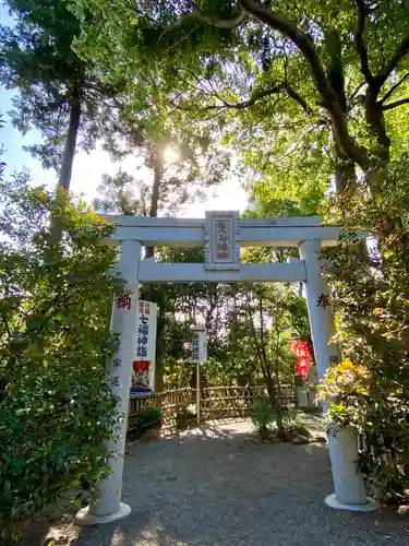 亀ケ池八幡宮の鳥居