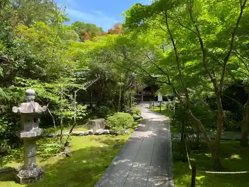 大日寺(高知県)