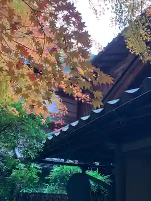 光明寺瑠璃光院(京都府)