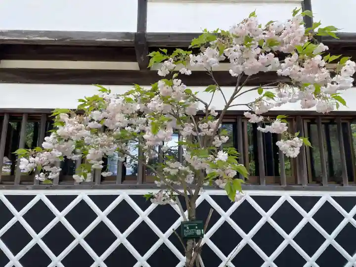 桜池院(和歌山県)