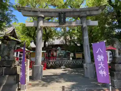 高知八幡宮(高知県)