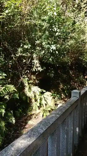 御手洗神社の周辺