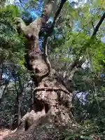 熱田神宮(愛知県)