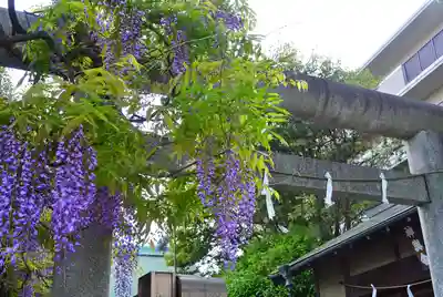 國領神社(東京都)
