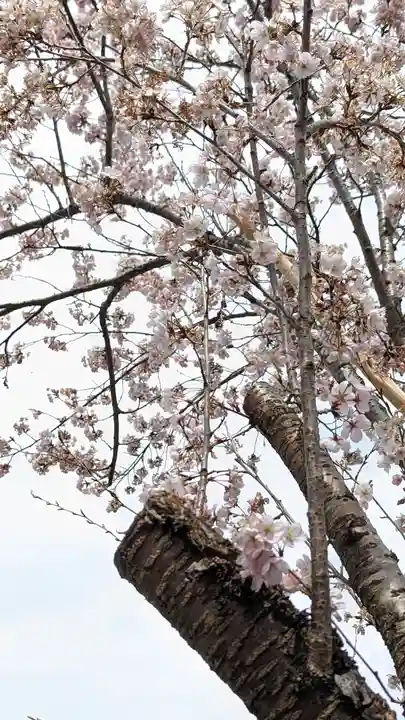 満願寺(京都府)