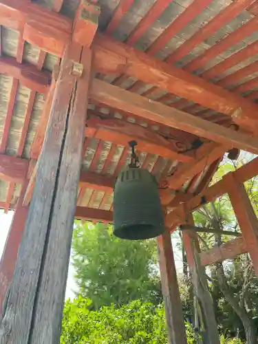 般若寺 ❁﻿コスモス寺❁(奈良県)
