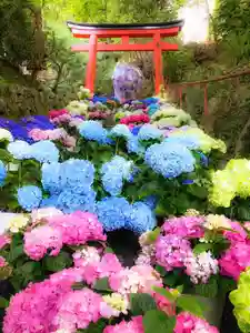 柳谷観音 楊谷寺(京都府) 2024年06月01日(土)〜(2024年05月30日(木) 17時17分47秒投稿)