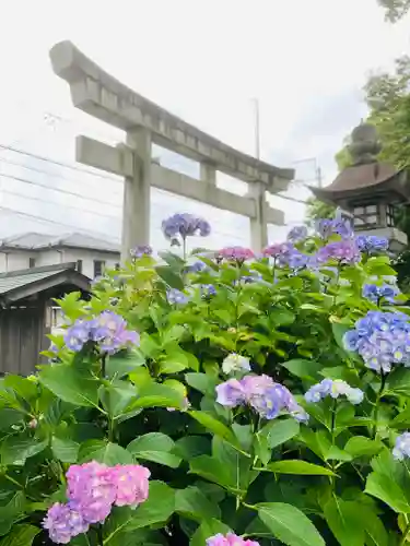 御裳神社の鳥居