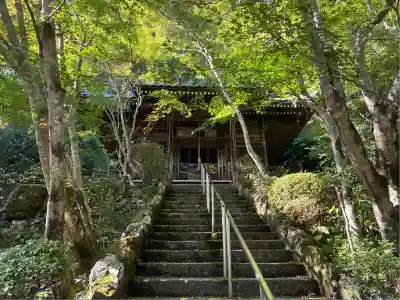 勝持寺（花の寺）(京都府)