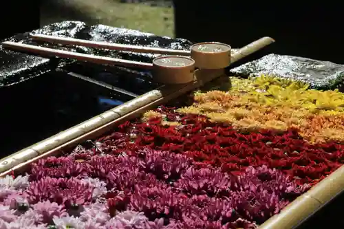 土津神社｜こどもと出世の神さまの手水