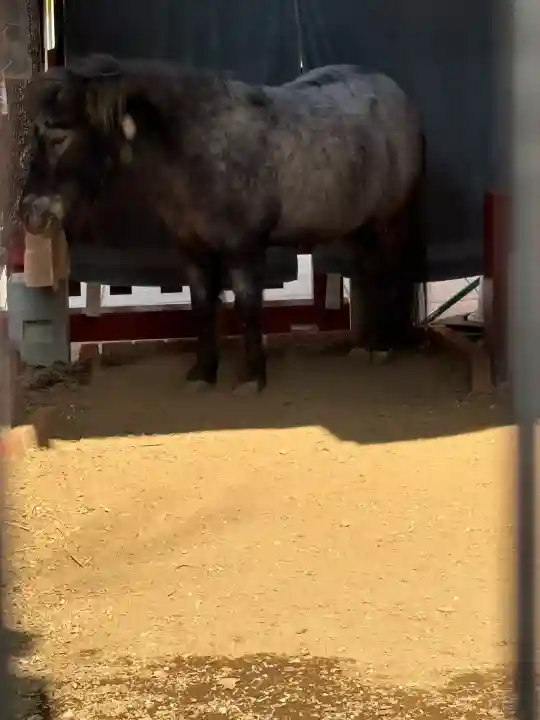 神田神社(神田明神)の{uncategorized: "未分類", other: "その他", undefined: "問題あり", building: "その他建物", grave: "お墓", sacred_gate: "鳥居", guardian: "狛犬", statue: "像", buddha: "仏像", history: "歴史", nature: "自然", garden: "庭園", animal: "動物", pagoda: "塔", temizu: "手水舎", mountain_gate: "山門・神門", sanctuary: "本殿・本堂", subordinate: "末社・摂社", art: "芸術", scenery: "景色", jizo: "地蔵", ema: "絵馬", goshuin: "御朱印", omikuji: "おみくじ", items: "授与品その他", amulet: "お守り", goshuincho: "御朱印帳", eats: "食事", festival: "お祭り", votive_dance: "神楽", shichigosan: "七五三参", wedding: "結婚式", experience: "体験その他", initially: "初詣", around: "周辺", anti_infection: "感染症対策"}