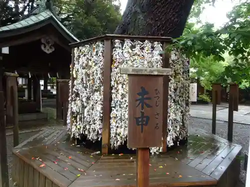 平塚八幡宮のおみくじ