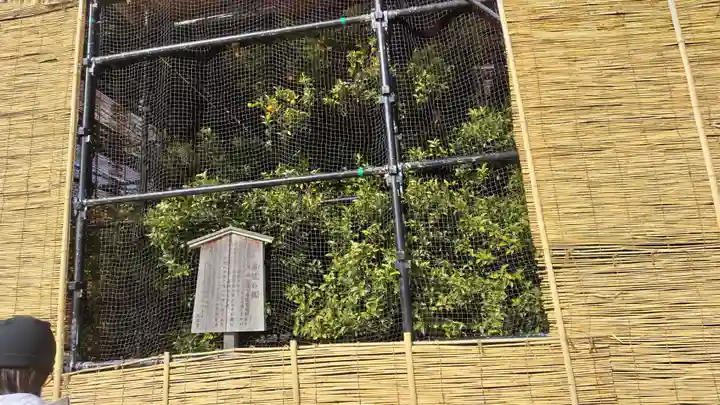 平安神宮(京都府)