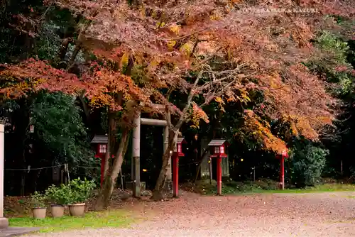 鷲宮神社(埼玉県)