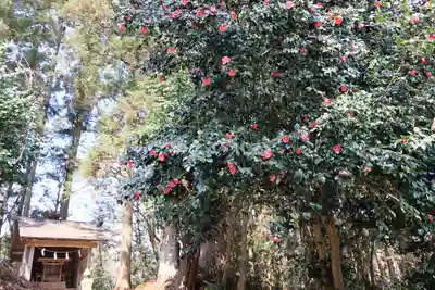 鹿島大神宮の末社・摂社