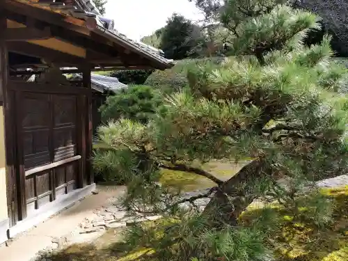 慈光院の{uncategorized: "未分類", other: "その他", undefined: "問題あり", building: "その他建物", grave: "お墓", sacred_gate: "鳥居", guardian: "狛犬", statue: "像", buddha: "仏像", history: "歴史", nature: "自然", garden: "庭園", animal: "動物", pagoda: "塔", temizu: "手水舎", mountain_gate: "山門・神門", sanctuary: "本殿・本堂", subordinate: "末社・摂社", art: "芸術", scenery: "景色", jizo: "地蔵", ema: "絵馬", goshuin: "御朱印", omikuji: "おみくじ", items: "授与品その他", amulet: "お守り", goshuincho: "御朱印帳", eats: "食事", festival: "お祭り", votive_dance: "神楽", shichigosan: "七五三参", wedding: "結婚式", experience: "体験その他", initially: "初詣", around: "周辺", anti_infection: "感染症対策"}