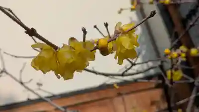 勝林寺(京都府)