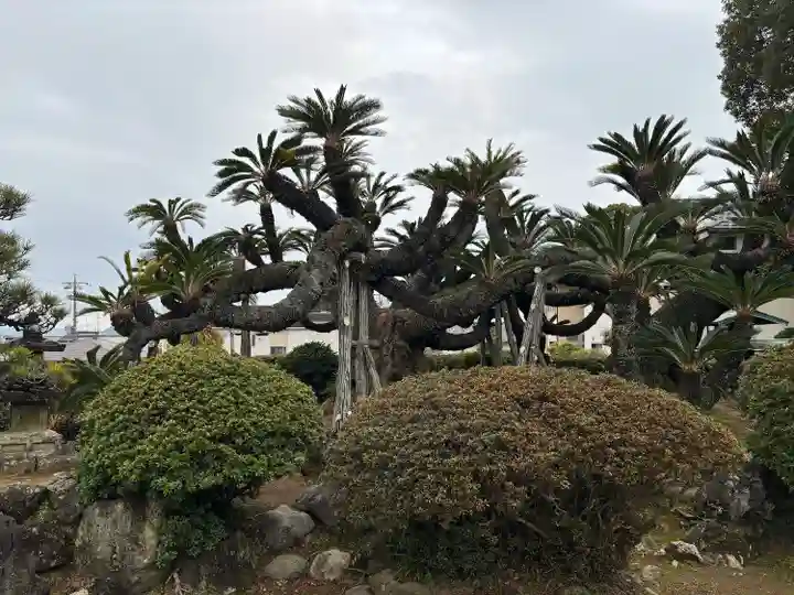 龍華寺(静岡県)