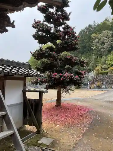 洞泉寺(岐阜県)