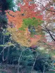 西明寺(滋賀県)