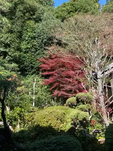 大池寺(滋賀県)