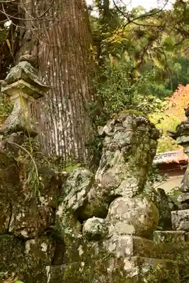 若宮神社(高知県)