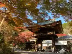 普門寺(切り絵御朱印発祥の寺)の山門