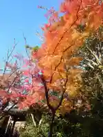 松久寺(愛知県)