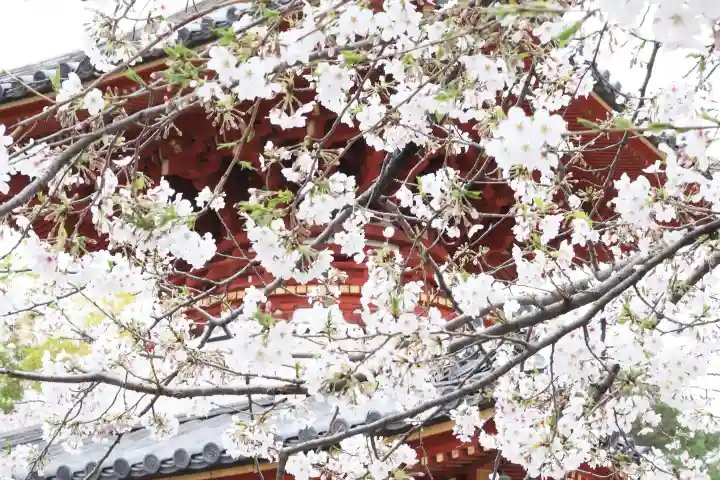 喜多院の{uncategorized: "未分類", other: "その他", undefined: "問題あり", building: "その他建物", grave: "お墓", sacred_gate: "鳥居", guardian: "狛犬", statue: "像", buddha: "仏像", history: "歴史", nature: "自然", garden: "庭園", animal: "動物", pagoda: "塔", temizu: "手水舎", mountain_gate: "山門・神門", sanctuary: "本殿・本堂", subordinate: "末社・摂社", art: "芸術", scenery: "景色", jizo: "地蔵", ema: "絵馬", goshuin: "御朱印", omikuji: "おみくじ", items: "授与品その他", amulet: "お守り", goshuincho: "御朱印帳", eats: "食事", festival: "お祭り", votive_dance: "神楽", shichigosan: "七五三参", wedding: "結婚式", experience: "体験その他", initially: "初詣", around: "周辺", anti_infection: "感染症対策"}
