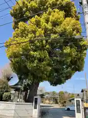 長徳寺(神奈川県)