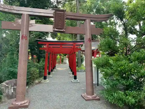 亀ケ池八幡宮の鳥居