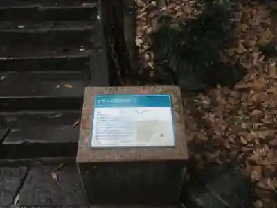 達磨寺(群馬県)