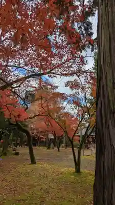 真正極楽寺(真如堂)(京都府)