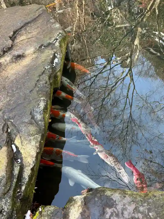 山賊魂稲成神社の{uncategorized: "未分類", other: "その他", undefined: "問題あり", building: "その他建物", grave: "お墓", sacred_gate: "鳥居", guardian: "狛犬", statue: "像", buddha: "仏像", history: "歴史", nature: "自然", garden: "庭園", animal: "動物", pagoda: "塔", temizu: "手水舎", mountain_gate: "山門・神門", sanctuary: "本殿・本堂", subordinate: "末社・摂社", art: "芸術", scenery: "景色", jizo: "地蔵", ema: "絵馬", goshuin: "御朱印", omikuji: "おみくじ", items: "授与品その他", amulet: "お守り", goshuincho: "御朱印帳", eats: "食事", festival: "お祭り", votive_dance: "神楽", shichigosan: "七五三参", wedding: "結婚式", experience: "体験その他", initially: "初詣", around: "周辺", anti_infection: "感染症対策"}