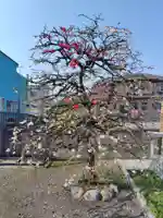 大英寺(埼玉県)