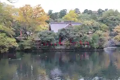 井の頭弁財天(大盛寺)(東京都)