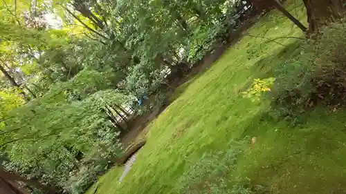 野宮神社の自然