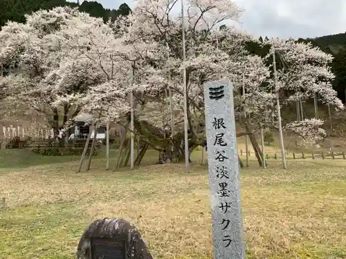 淡墨観音のその他建物
