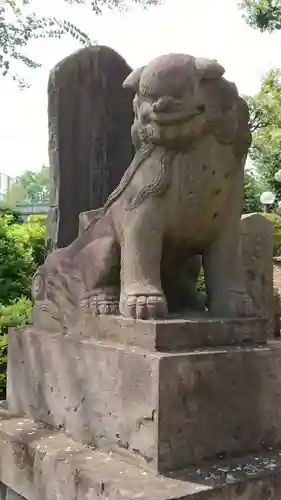 赤羽八幡神社の狛犬