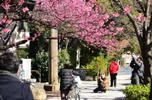 荏原神社の自然