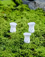 浄土寺(兵庫県)