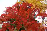 山津見神社の自然
