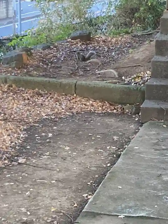 五霊神社(神奈川県)