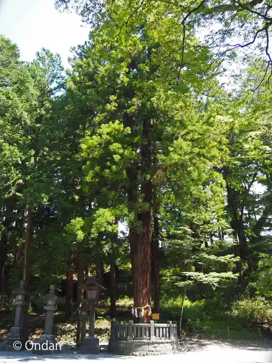 諏訪大社下社春宮(長野県)