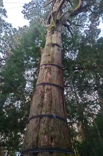 高千穂神社(宮崎県)