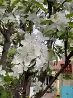 天王坊稲荷神社(岐阜県)